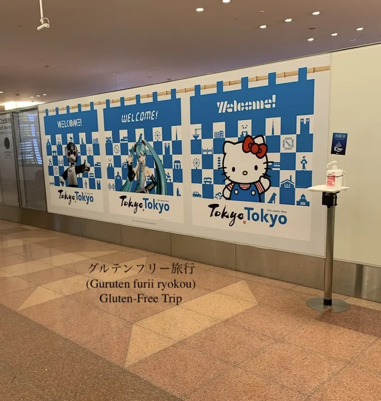 Welcome to Haneda Airport Tokyo Japan Sign